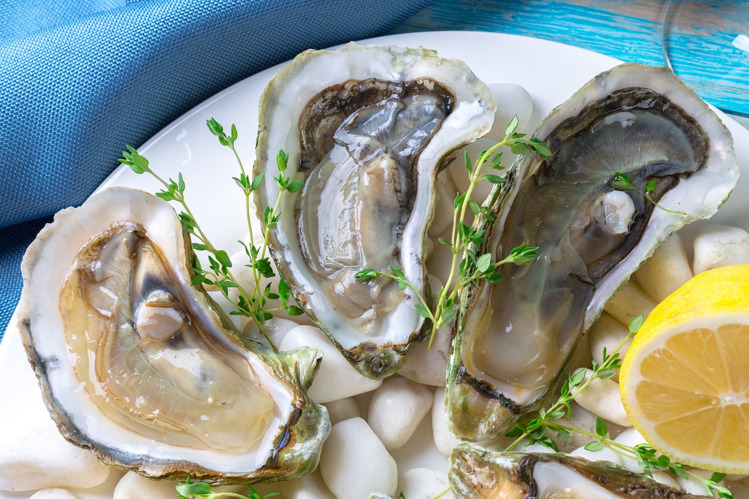 oyster To Boost Stamina And Libido: Link Between Diet And Sexual Stamina
